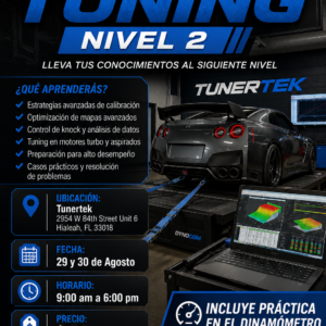Seminario de Tuning Nivel 2 - Español